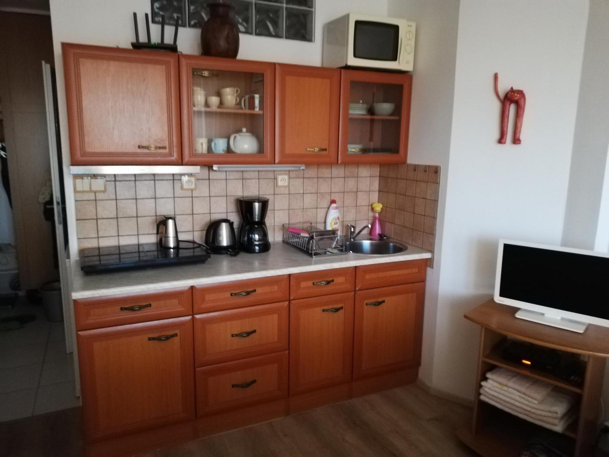 Apartament Terrace Center Praga