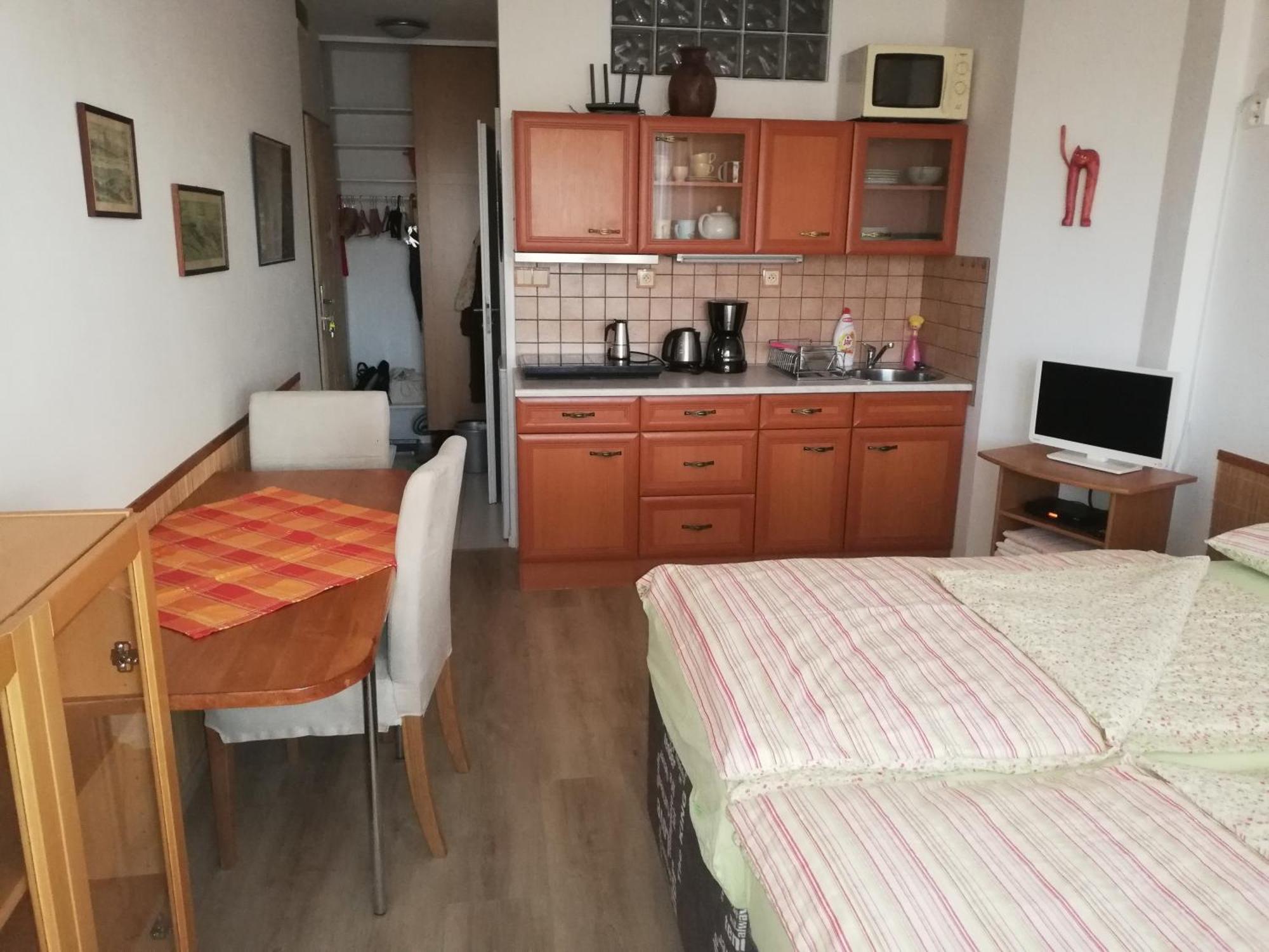 Apartament Terrace Center Praga